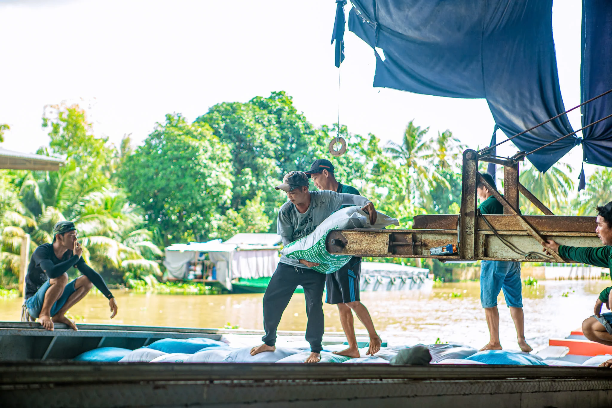 banner giới thiệu
